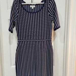 Navy and White Medium knit dress